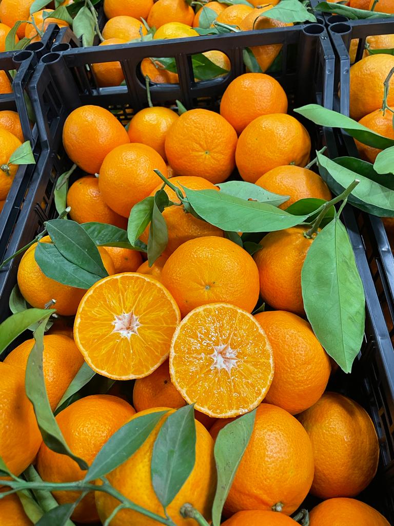 Van Ooijen Citrus BV